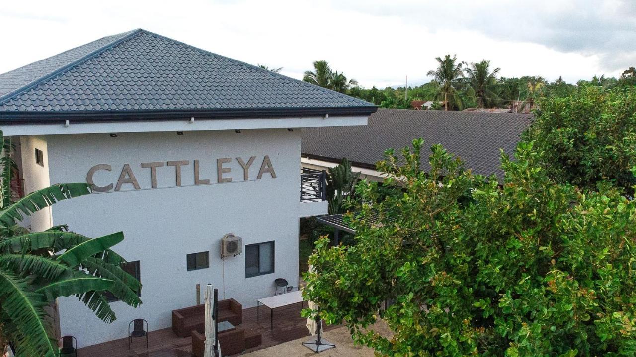 Bohol Cattleya Resort Panglao City Exterior foto